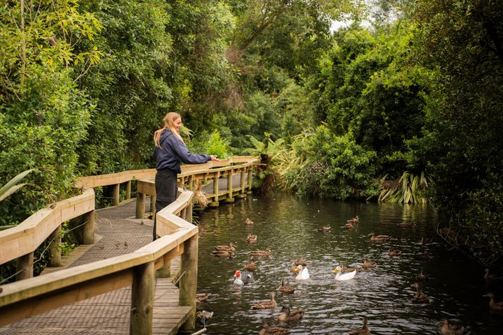 Willowbank Wildlife Reserve Day Entry - Photo 1 of 20